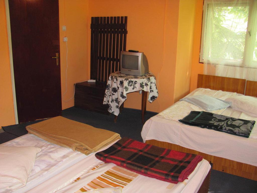 Szurdok Panzio BaileTusnad Room photo